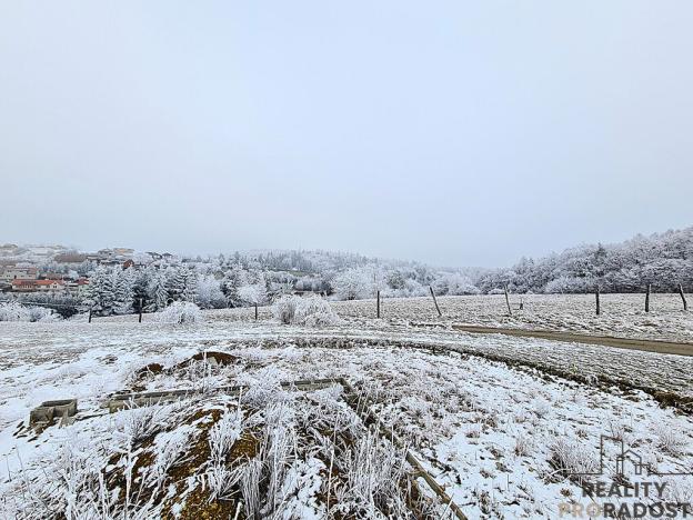 Prodej zahrady, Ruprechtov, 755 m2