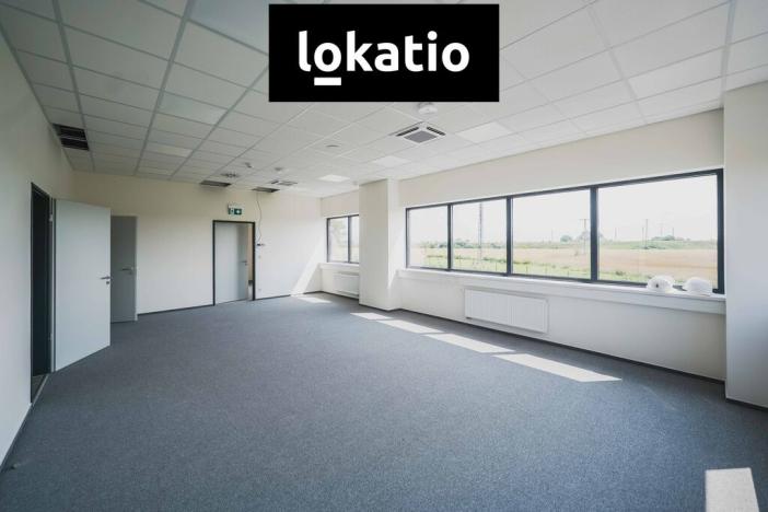 Pronájem skladu, Lovosice, Terezínská, 14562 m2