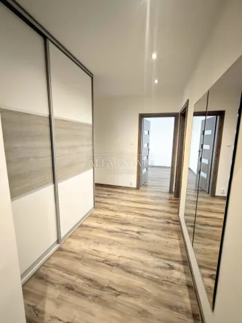 Pronájem bytu 3+1, Ostrov, Družební, 80 m2