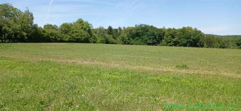 Prodej pole, Kobylnice, 9513 m2