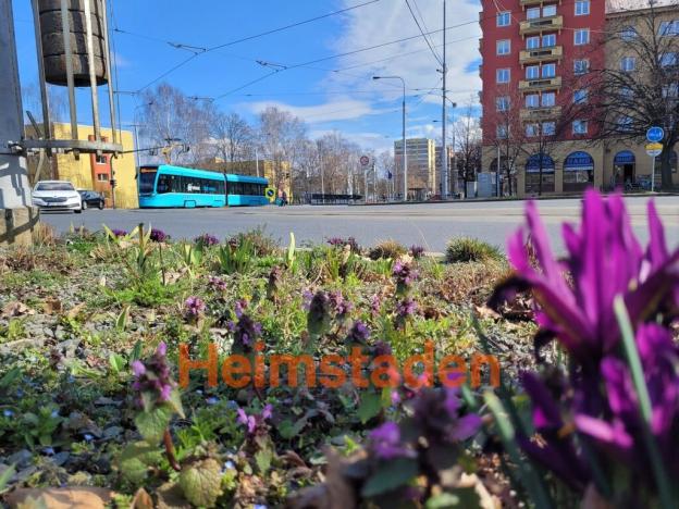 Pronájem obchodního prostoru, Ostrava - Poruba, 17. listopadu, 126 m2