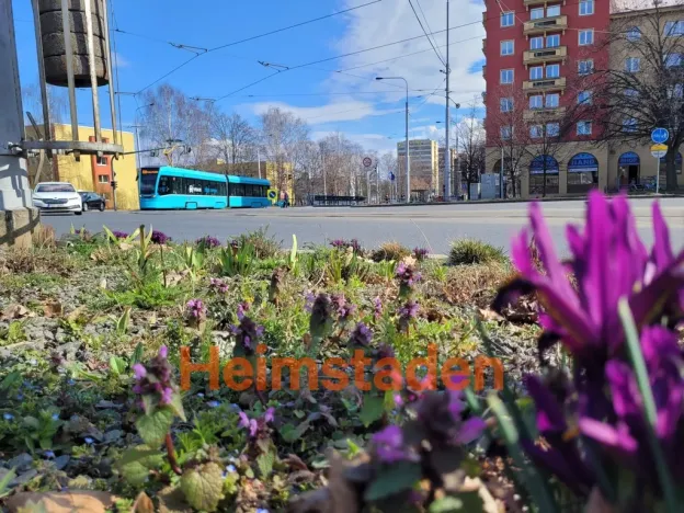 Pronájem obchodního prostoru, Ostrava - Poruba, 17. listopadu, 126 m2