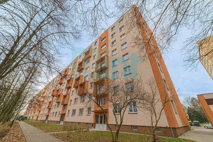 Prodej bytu 3+1, Ostrava, Alžírská, 66 m2