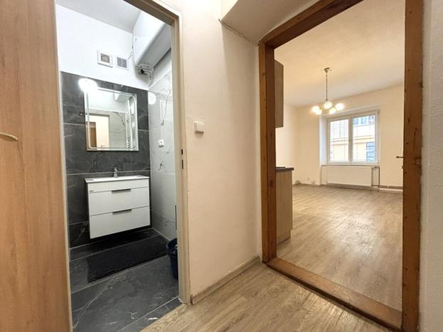 Pronájem bytu 1+kk, Plzeň - Jižní Předměstí, Vrchlického, 28 m2