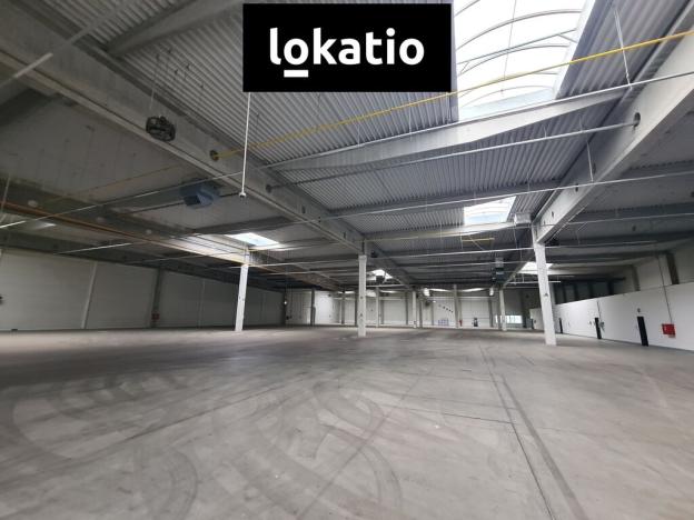 Pronájem skladu, Krupka, Eduarda Proppera, 5493 m2