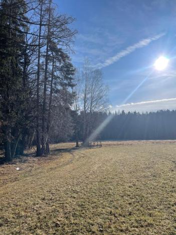 Prodej lesa, Svatý Jan nad Malší - Sedlce, 27831 m2