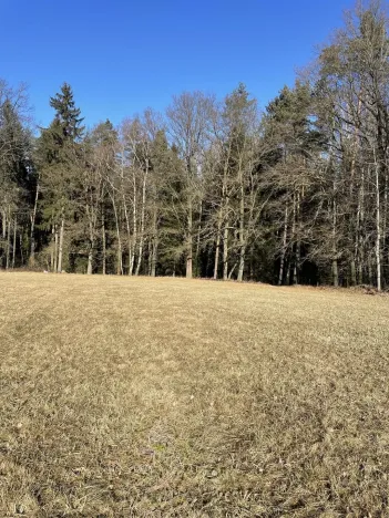 Prodej lesa, Svatý Jan nad Malší - Sedlce, 27831 m2