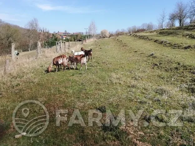 Prodej pole, Řepín, 22068 m2