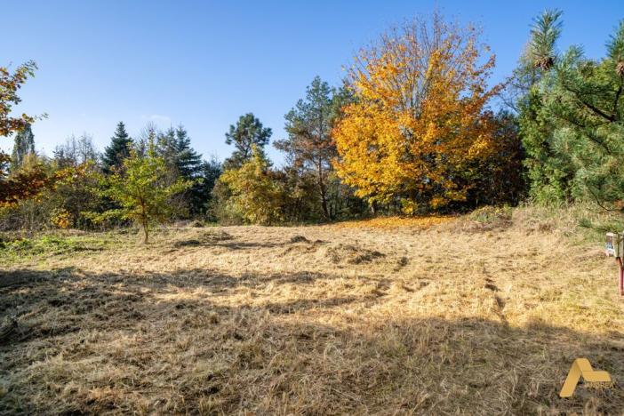 Prodej pozemku pro bydlení, Dobev - Oldřichov, 1995 m2