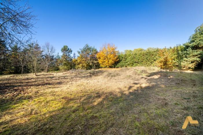 Prodej pozemku pro bydlení, Dobev - Oldřichov, 1995 m2