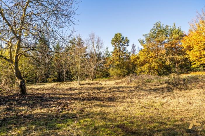 Prodej pozemku pro bydlení, Dobev - Oldřichov, 1995 m2