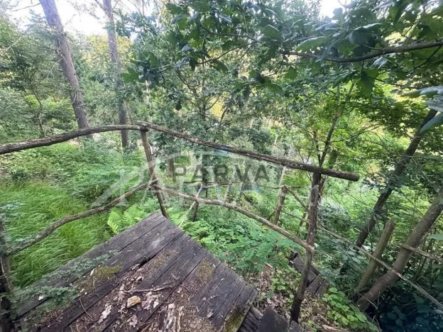 Prodej chaty, Hromnice - Planá, 80 m2