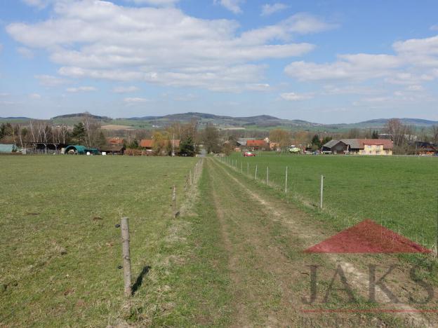 Prodej pozemku pro bydlení, Janovice nad Úhlavou, 11860 m2
