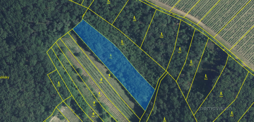 Prodej sadu/vinice, Kobylí, 3496 m2