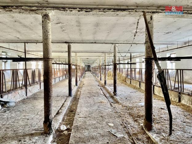 Prodej zemědělského objektu, Dolní Chvatliny - Mančice, 1700 m2