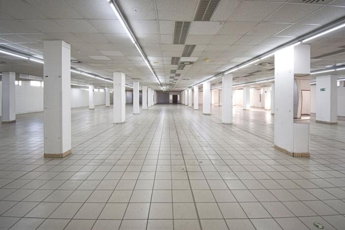 Pronájem obchodního prostoru, Plzeň - Lobzy, Sousedská, 1600 m2