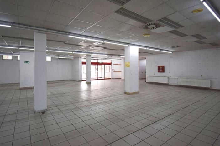 Pronájem obchodního prostoru, Plzeň - Lobzy, Sousedská, 1600 m2