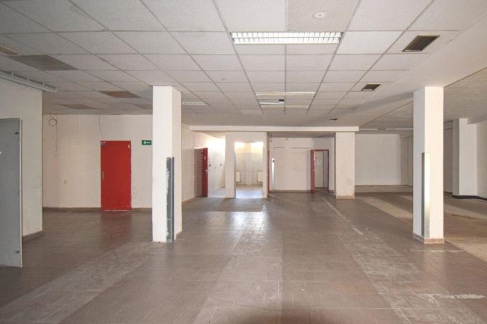 Pronájem obchodního prostoru, Plzeň - Lobzy, Sousedská, 1600 m2