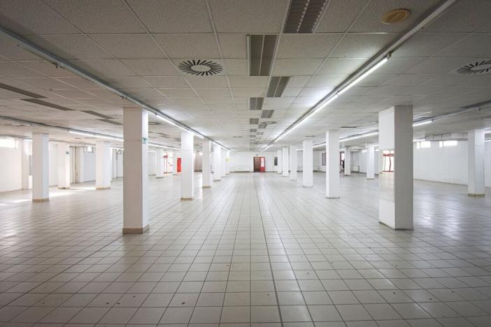Pronájem obchodního prostoru, Plzeň - Lobzy, Sousedská, 1600 m2