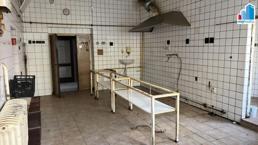 Pronájem komerční nemovitosti, Kralovice, Markova tř., 570 m2