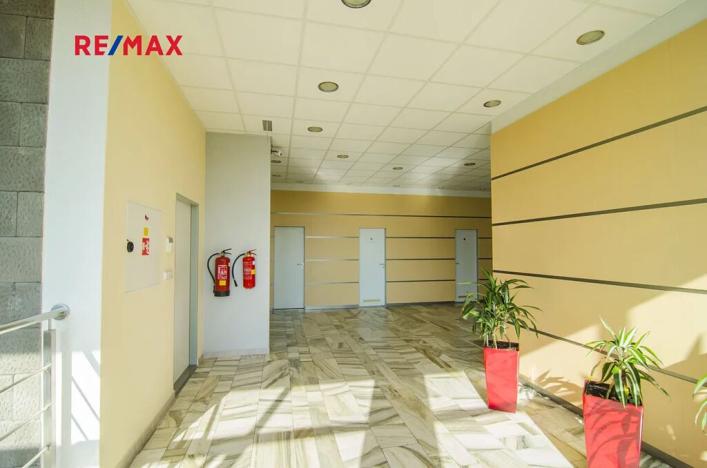 Pronájem obchodního prostoru, Svitavy, Svitavská, 80 m2