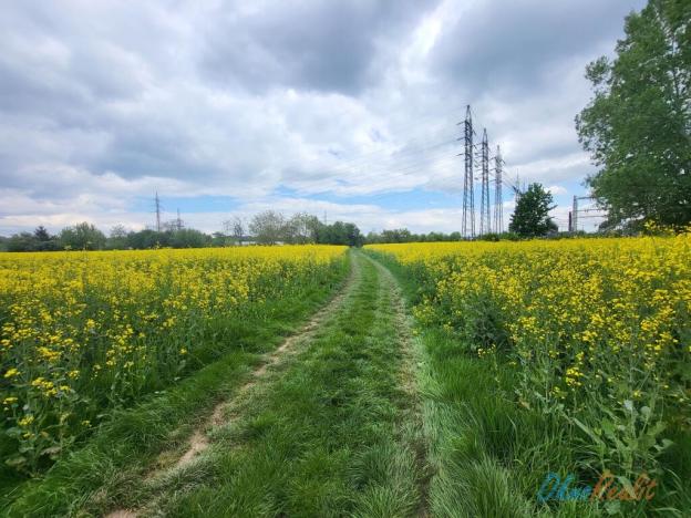 Prodej komerčního pozemku, Brno - Komárov, Hněvkovského, 5568 m2