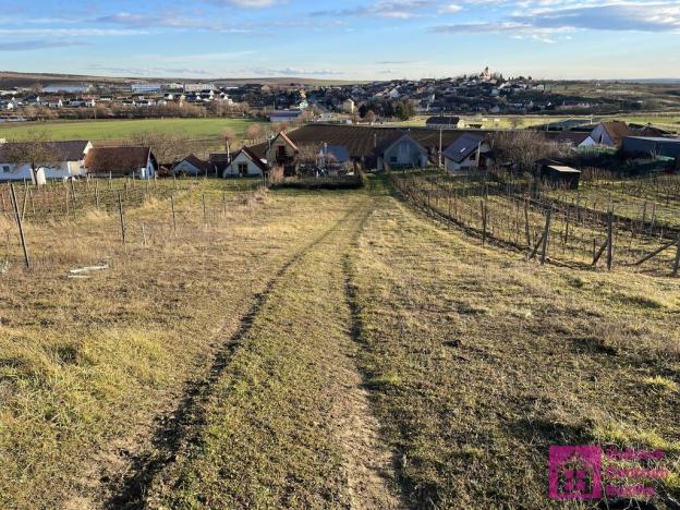 Prodej pozemku, Bořetice, 2567 m2