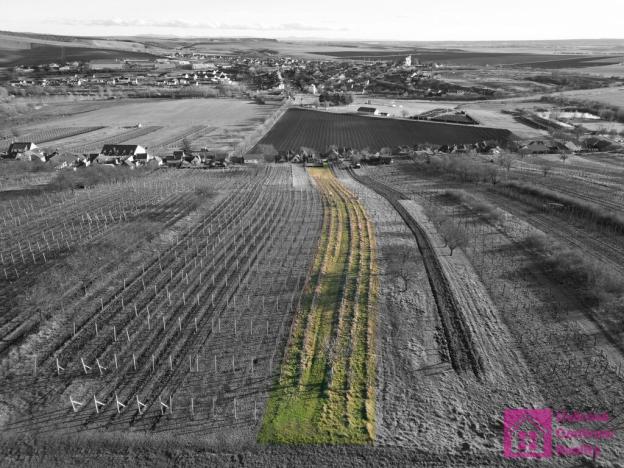 Prodej pozemku, Bořetice, 2567 m2