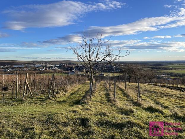 Prodej pozemku, Bořetice, 2567 m2