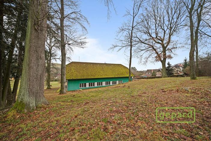 Prodej obchodního prostoru, Dolní Kalná, 300 m2