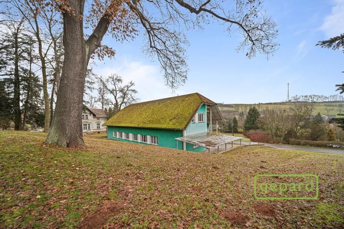 Prodej obchodního prostoru, Dolní Kalná, 300 m2