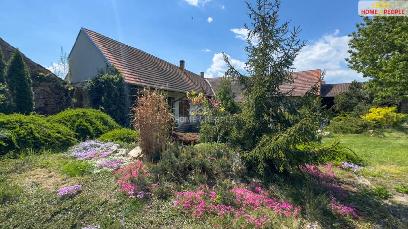 Prodej chalupy, Číčenice - Strpí, 220 m2