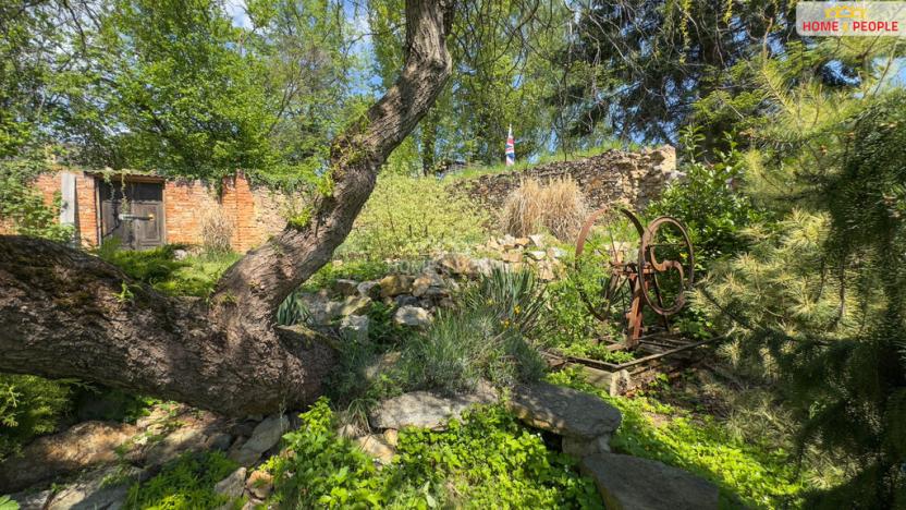 Prodej chalupy, Číčenice - Strpí, 220 m2