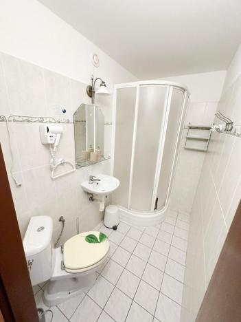 Prodej ubytování, Jeseník, Priessnitzova, 162 m2