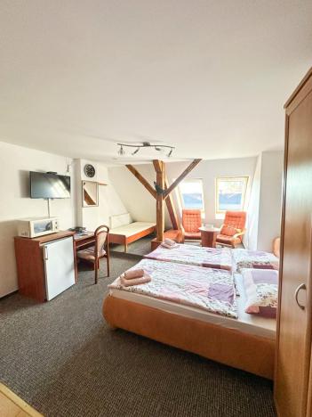 Prodej ubytování, Jeseník, Priessnitzova, 162 m2