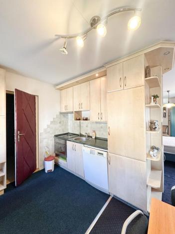 Prodej ubytování, Jeseník, Priessnitzova, 162 m2