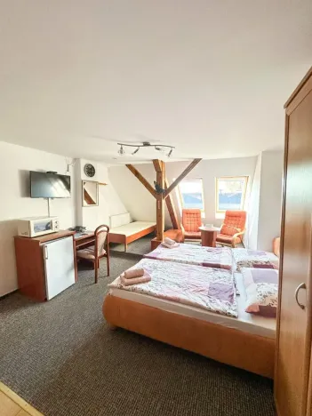 Prodej ubytování, Jeseník, Priessnitzova, 162 m2