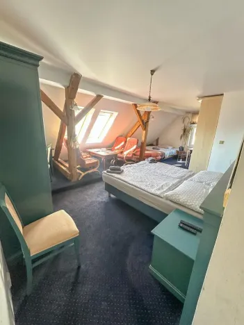 Prodej ubytování, Jeseník, Priessnitzova, 162 m2