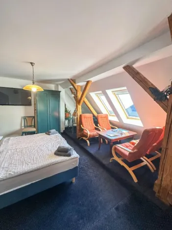 Prodej ubytování, Jeseník, Priessnitzova, 162 m2