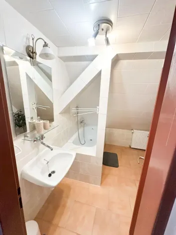 Prodej ubytování, Jeseník, Priessnitzova, 162 m2