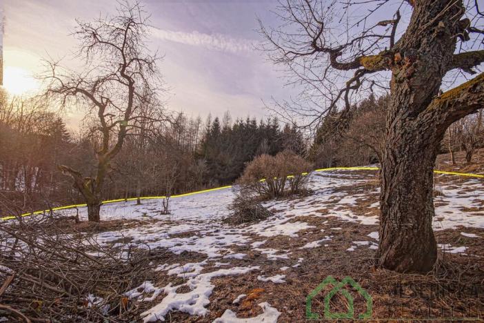 Prodej louky, Branná, 2772 m2