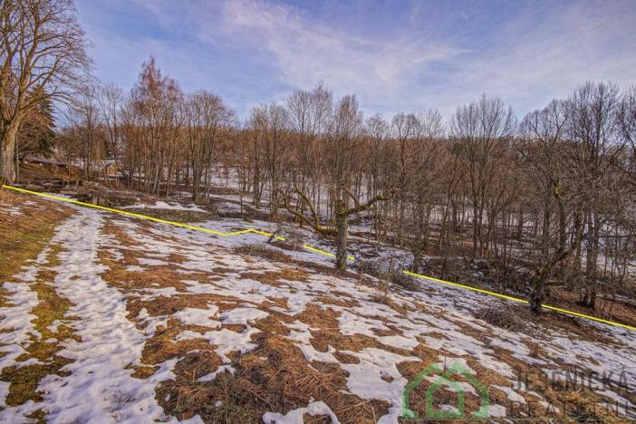 Prodej louky, Branná, 2772 m2