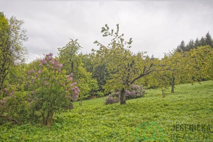 Prodej louky, Branná, 2772 m2