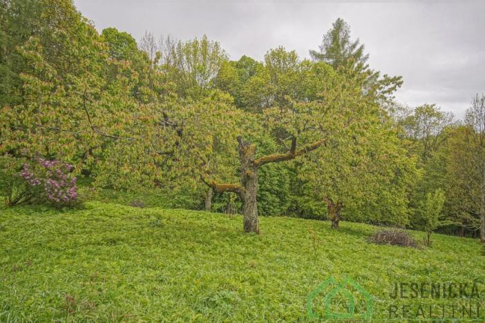 Prodej louky, Branná, 2772 m2