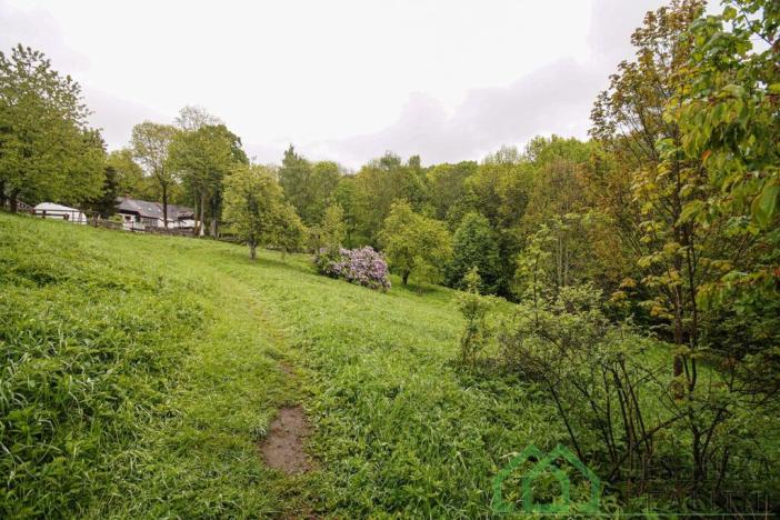 Prodej louky, Branná, 2772 m2