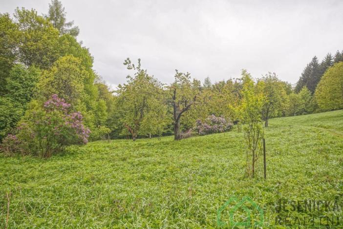Prodej louky, Branná, 2772 m2