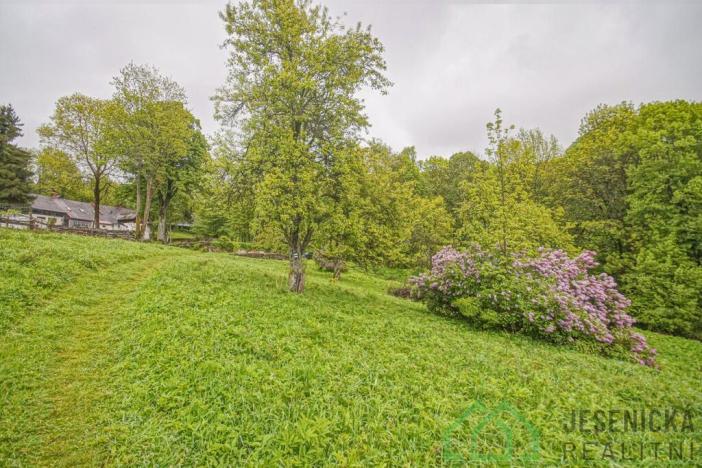 Prodej louky, Branná, 2772 m2