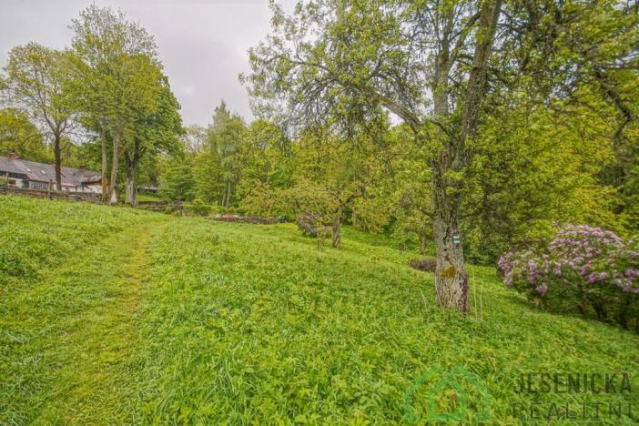 Prodej louky, Branná, 2772 m2