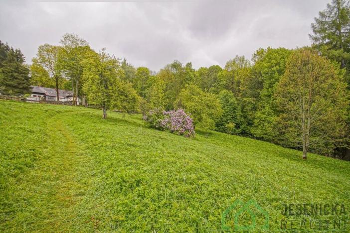 Prodej louky, Branná, 2772 m2