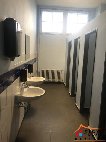 Pronájem skladu, Ostrava - Mariánské Hory, Novoveská, 500 m2